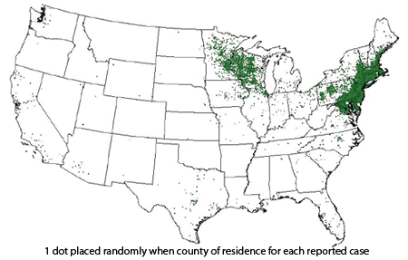 Reported case of Lyme disease with the US