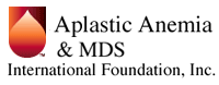 Logo of the Aplastic Anemia And Myelodysplastic Syndromes International Foundation