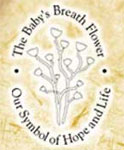 Logo of the Canadian Foundation for the Study of Infant Deaths